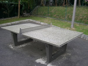 Table Tennis S-2000