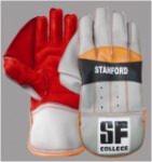 Stanford College Boys Cricket Wicket Gloves Junior
