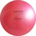 Kenko Gym Balls 6.5