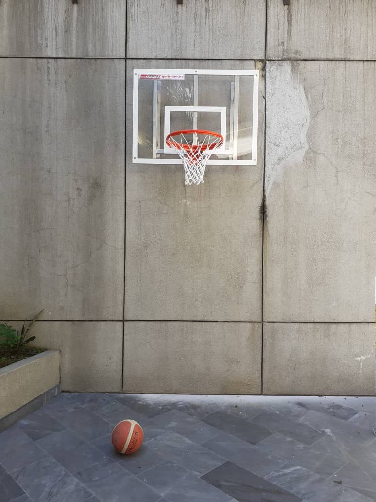 Leisure Basketball Wall Mounted