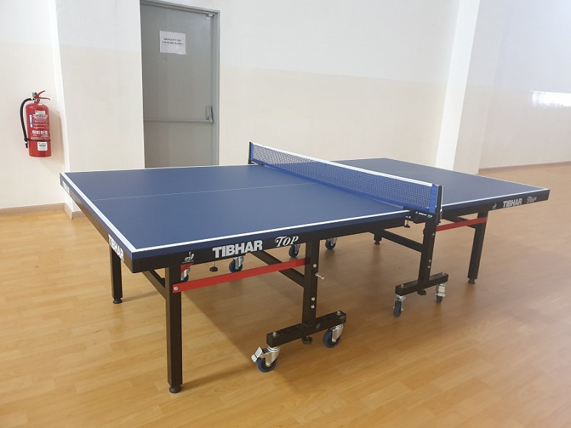 HART Mini Table Tennis Table, Mini Ping Pong Table