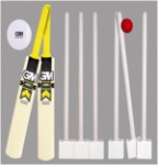 G & M Hero DXM Pro Plastic Cricket Kwik set Double