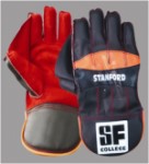 Stanford College Cricket Wicket Gloves Senior