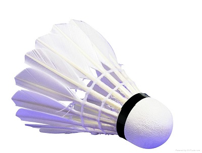 Badminton Shuttlecock